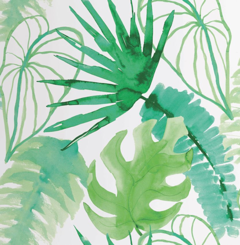 Jungle Spirit: Telephone Call of the Wild